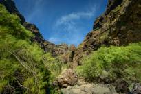 The masca trail