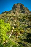 The masca trail