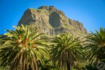 The masca trail