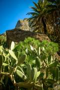 The masca trail