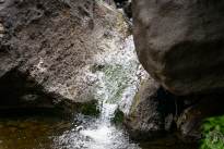 The masca trail