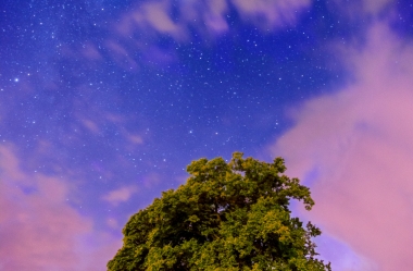 the starry sky above (2)