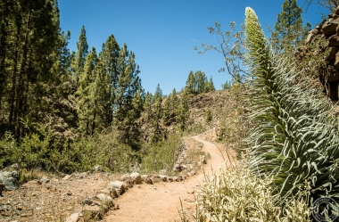 Vilaflor de Chasna auf Teneriffa