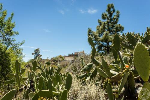 Vilaflor de Chasna auf Teneriffa