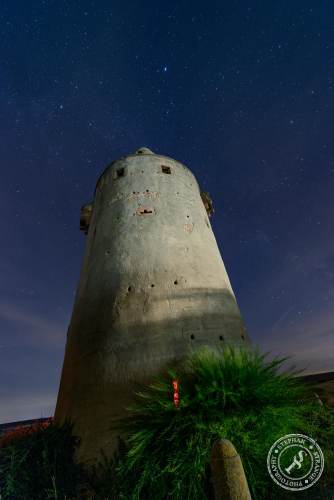 Wartturm