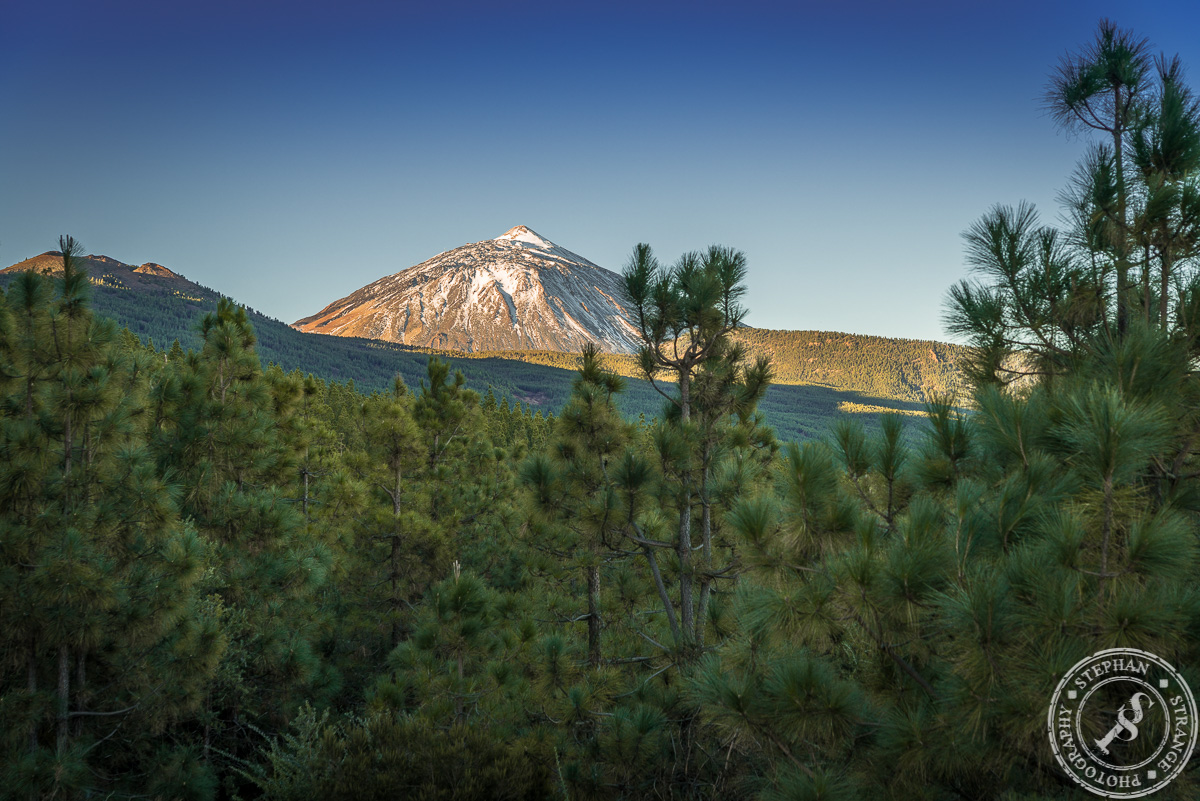 The La Orotava Vale with Pico del Teide in the Background